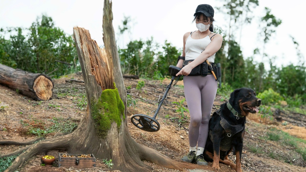 Умная собака помогла мне найти сокровище стоимостью в тысячу долларов, спрятанное под сгоревшим