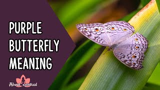 Purple Butterfly Meaning