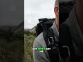 Bull Moose Encounter & Bear Fear on Trail! #instagram #reels #trending #viral