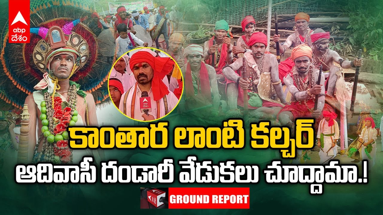 Adilabad Dandari Festival |  ఆదిలాబాద్ ఆదివాసీ గ్రామాల్లో దండారీ వేడుకల సందడే వేరు | ABP Desam