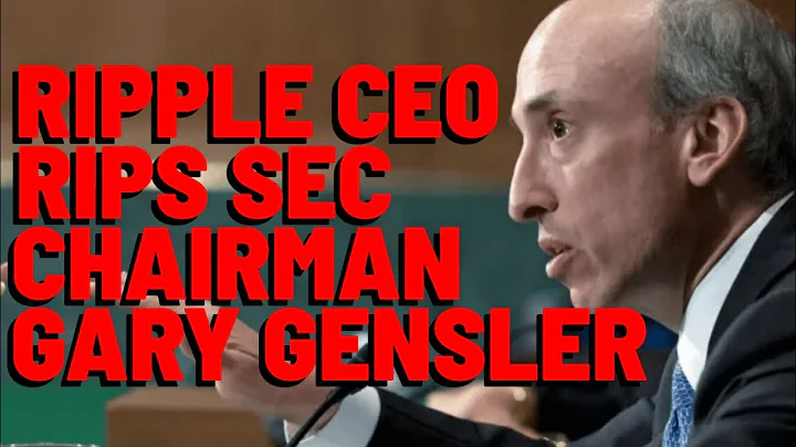 Ripple CEO RIPS SEC CHAIR GARY GENSLER