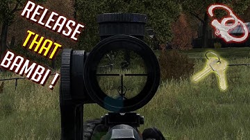 Dayz - HOSTAGE RESCUE