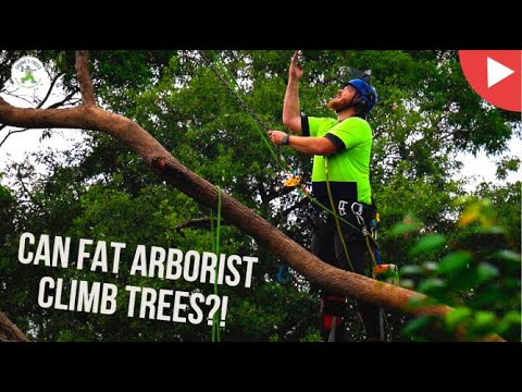 CAN FAT ARBORISTS CLIMB TREES?! - SHANE'S TREES FAQ#9 