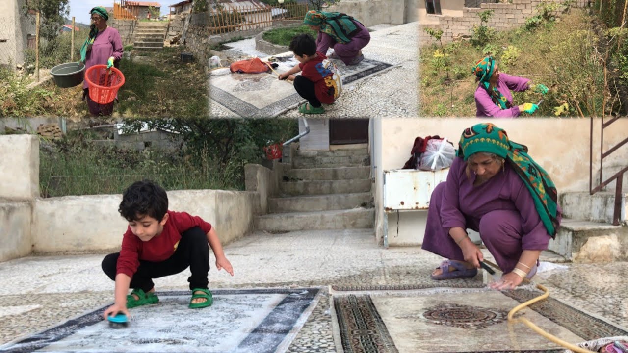 Village Life Daily | Harvesting Heracleum | Washing Rug | Village life Routine