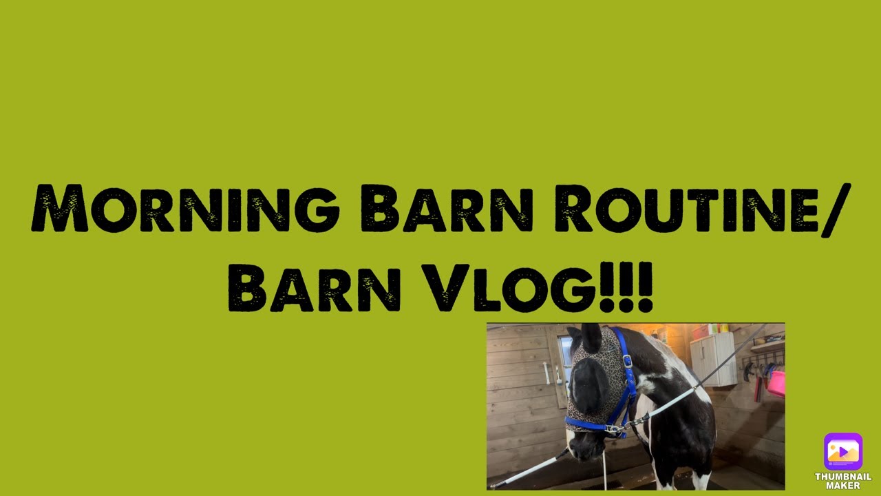 Morning Barn Routine/barn vlog - YouTube
