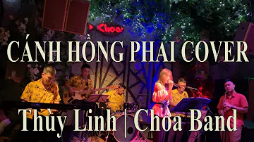 Cánh hồng phai - Trấn Thành | Thùy Linh Cover