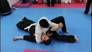 Wing Chun &amp; Jiujitsu JKD - Ground Fighting Grappling Introductions | Địa Chiến|