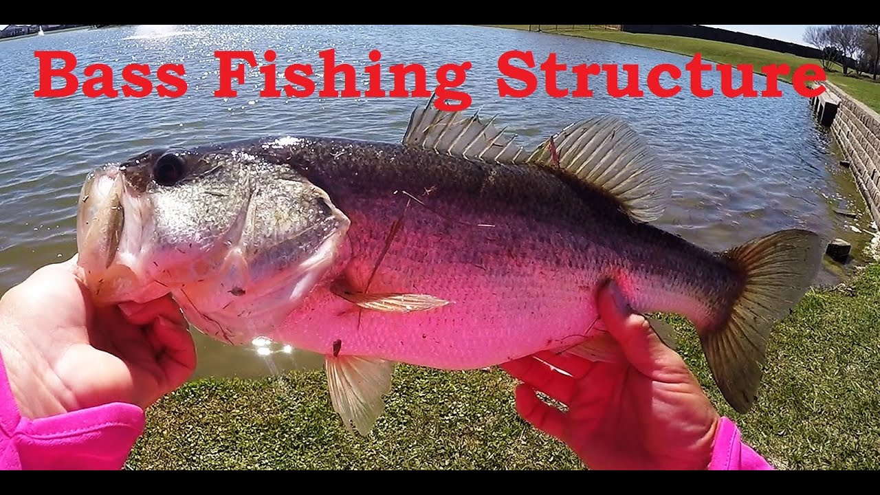 Bank Fishing Bass Fishing Structure YouTube