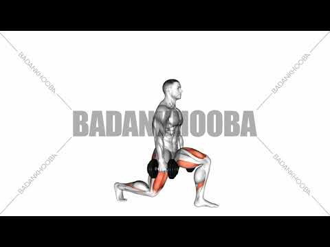 649 لانج معکوس با دمبل   