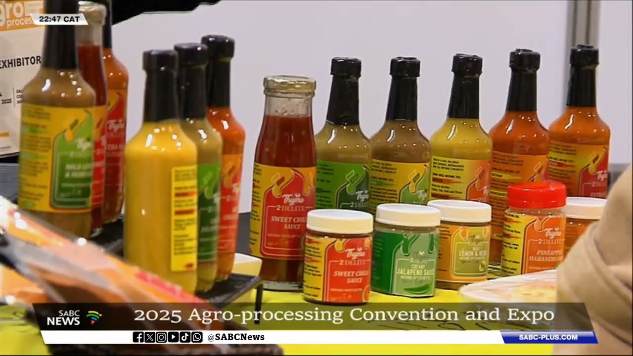 Agro-Processing Convention and Expo | Gauteng is strategically positioned: Vuyiswa Ramokgopa