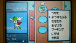 ポケットモンスタープラチナシェイミのバグ 停止 Youtube