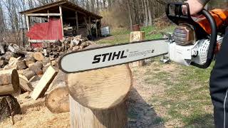 Stihl 881 testing this monster of a chainsaw!!