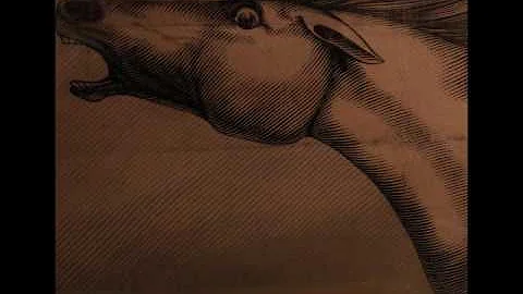 Julian Lynch - Mare *FULL ALBUM*