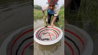 Village bill fishing skills by bamboo traps-06  #catfish