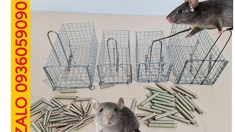 Cung cấp lồng bẫy chuột đường mòn. Cung cấp lồng bẫy chuột đàn. Cung cấp lồng bẫy chuột đồng.