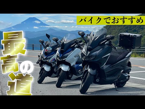 【ツーリングで稲村◯美に遭遇】バイクで奥多摩周遊道路をスルーする首都圏最高の絶景コース紹介！フォルツァ250MF15