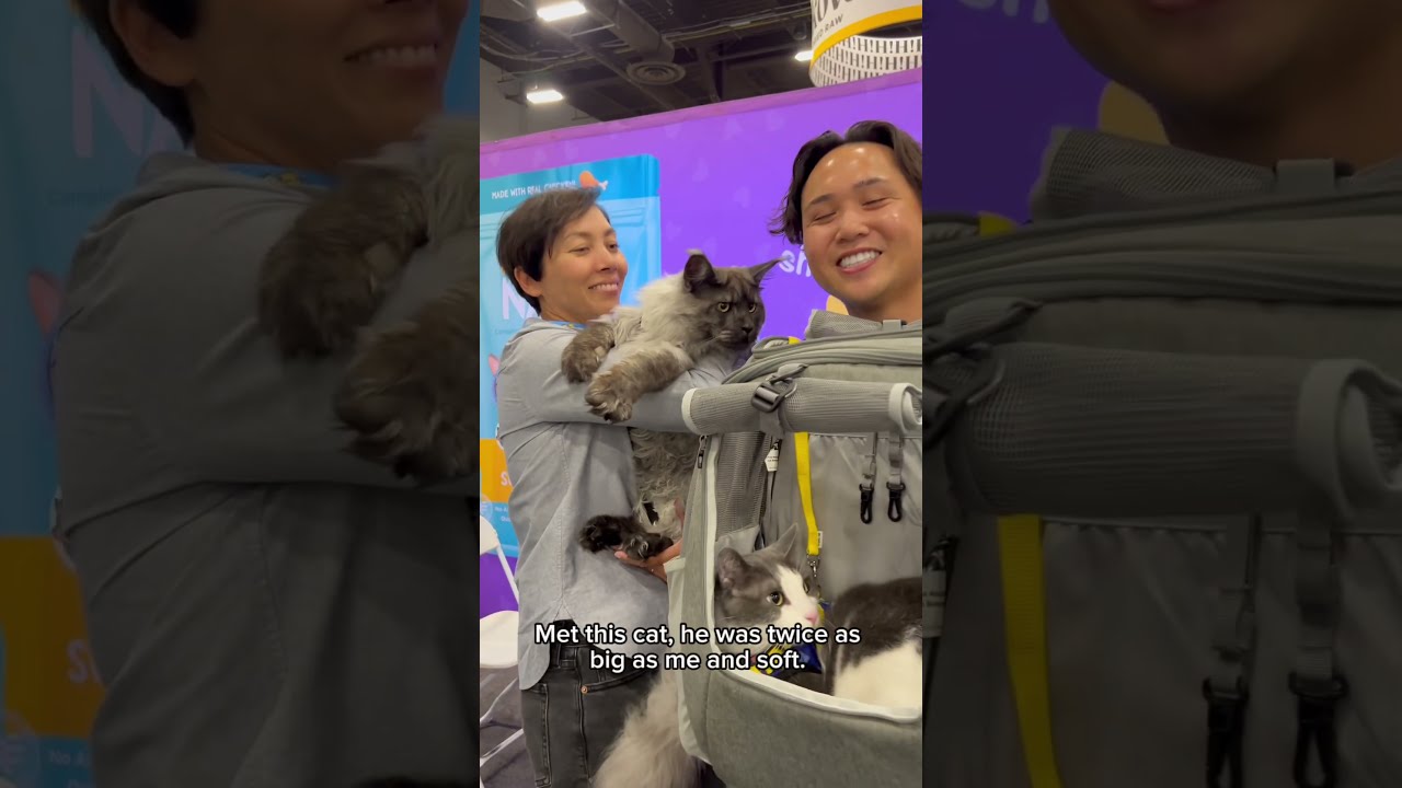 Day In The Life Of A Pet Influencer