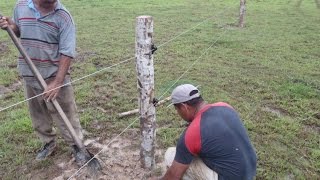 Download Lagu Ventajas de la utilización de Cercas eléctricas para Ganadería - TvAgro por Juan Gonzalo Angel MP3 Download Lagu Ventajas de la utilización de Cercas eléctricas para Ganadería - TvAgro por Juan Gonzalo Angel MP3