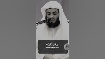 رعد بن محمد الكردي " قراءة روعة من سورة الشعراء " تەفسیرا کوردی
