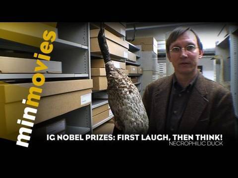 Homosexual Necrophilia in the Mallard Duck - Minimovies: Ig Nobel Prizes (Ep. 1/6)