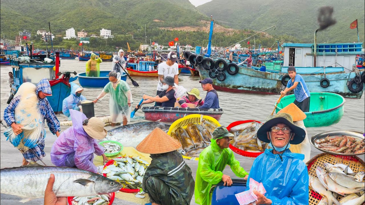 Cửa Bé Nha Trang Ngày Mưa Tầm Tã║Hải sản Chợ Vĩnh Trường Vừa Tươi Vừa Rẻ