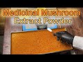 How to make medicinal mushroom dual extract powder