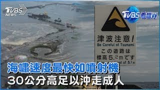 海嘯速度最快如噴射機 30公分高足以沖走成人｜TVBS看世界PODCAST