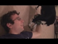 Tug Of Vlog (with puppy) (YTO168) image