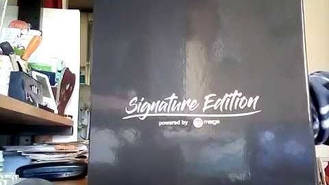 Darkest dungeon collector signature edition unboxing