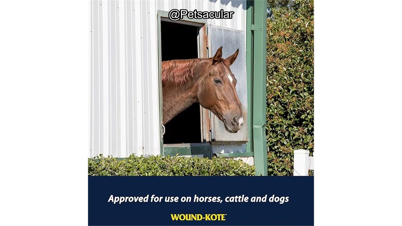 Обзор спрея-лосьона Farnam Wound-Kote Blue: эффективное антисептическое средство для ухода за дом...