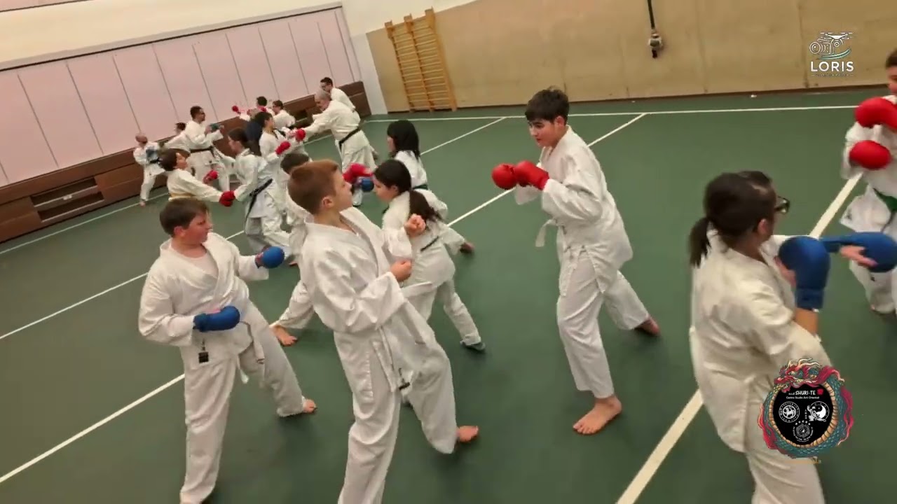 Karatè Shotokan Terranegra di Legnago verona