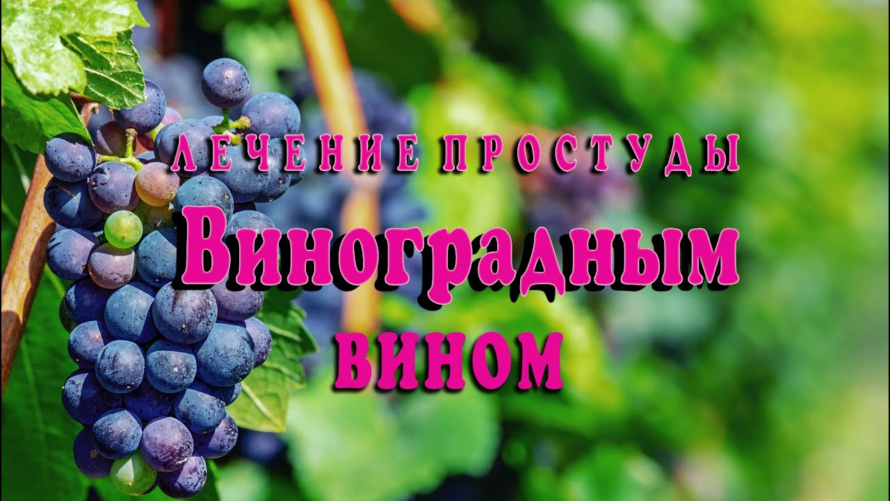 Как вылечить простуду вином из винограда