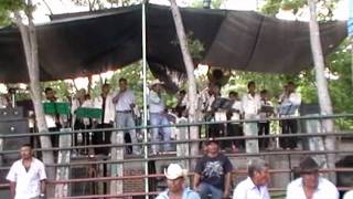 tataltepec de valdes banda musical.flv
