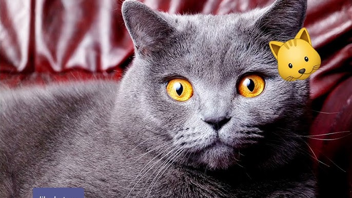 Электрозаводская метро станциясындағы жезөкшелер