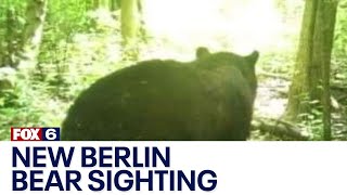 New Berlin black bear sighting, Hales Heights area | FOX6 News Milwaukee