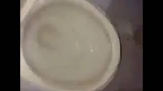 Strong Stream Bro