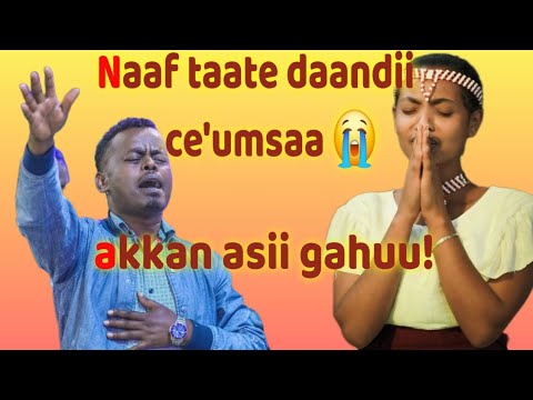 Naaf Taate Daandii Ce Umsaa Akkan Asii Gahuu Faarfannaa Afaan Oromoo