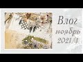 Моя скрап жизнь (и не только). Ноябрь 2021. 1 часть