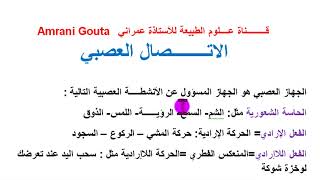 4#متوسط مدخل للاتصال العصبي دور الجهاز العصبي في😃 4دقائق 👌