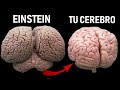 🌞 Cómo Desbloquear Todo El Potencial de tu Mente 🧠 [Dr Joe Dispenza 💯 En Español]