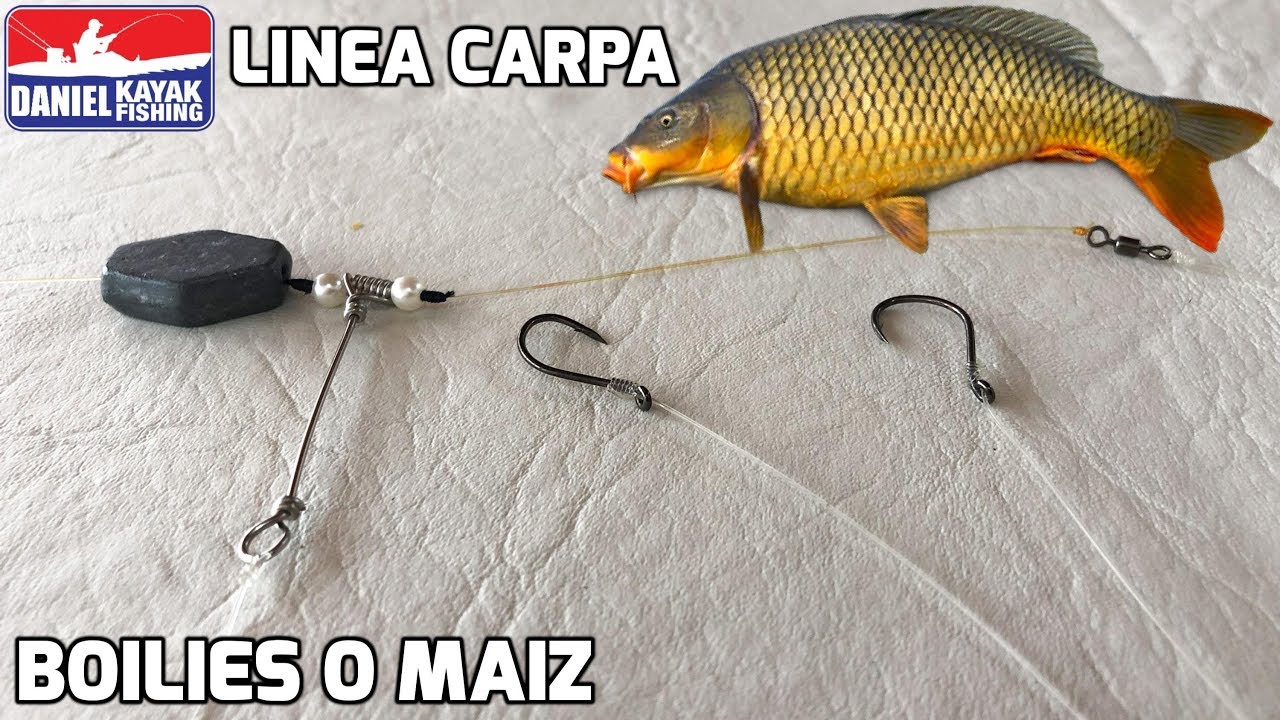 LINEA para CARPA o BOGA para usar con BOILIES o MAIZ | Aparejo Carpfishing | Pesca de Carpas