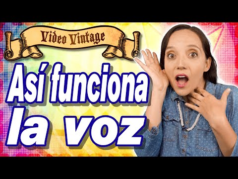 COMO FUNCIONA EL INSTRUMENTO VOCAL AL CANTAR - Clases de CANTO 30