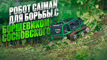 Техника Caiman для борьбы с борщевиком Сосновского