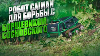 Техника Caiman для борьбы с борщевиком Сосновского