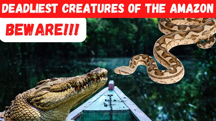 TOP 15 DANGEROUS ANIMAL OF THE AMAZON RAINFOREST