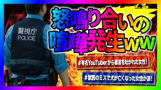 ノックチャンネルの配信のサムネイル画像