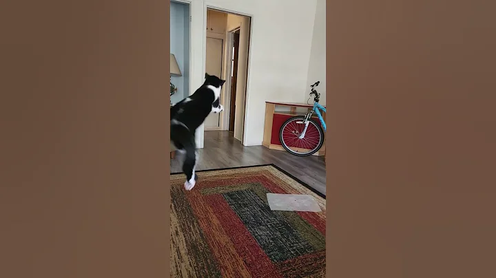 Wait for it!