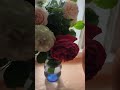 Английские розы в вазе. Котики чилят