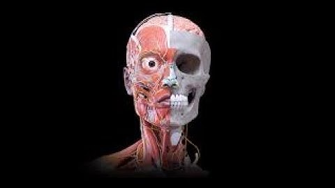 Introduction to Digital Learning Day 1