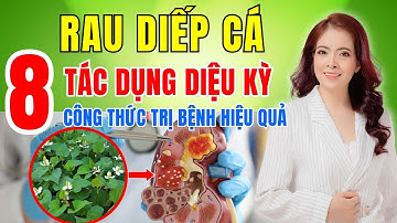 8 Tác Dụng Diệu Kỳ Của Rau Diếp Cá & 8 Công Thức Trị Bệnh Hiệu Quả | Đỗ Ngọc Diệp